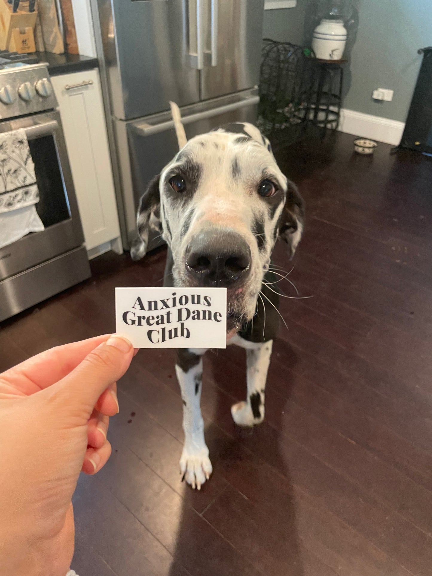 Anxious Great Dane Club Sticker Pack